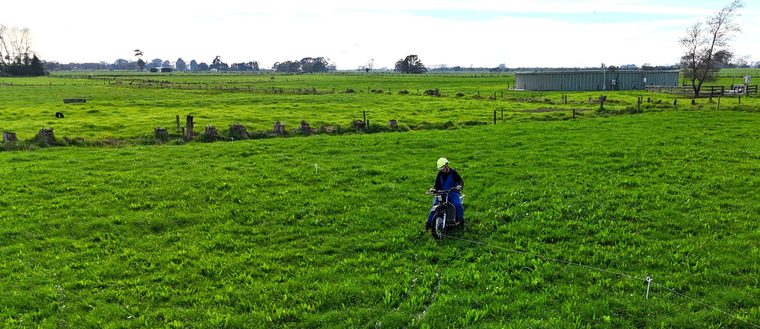 A Galvbike crossing a paddock on a New Zealand farm